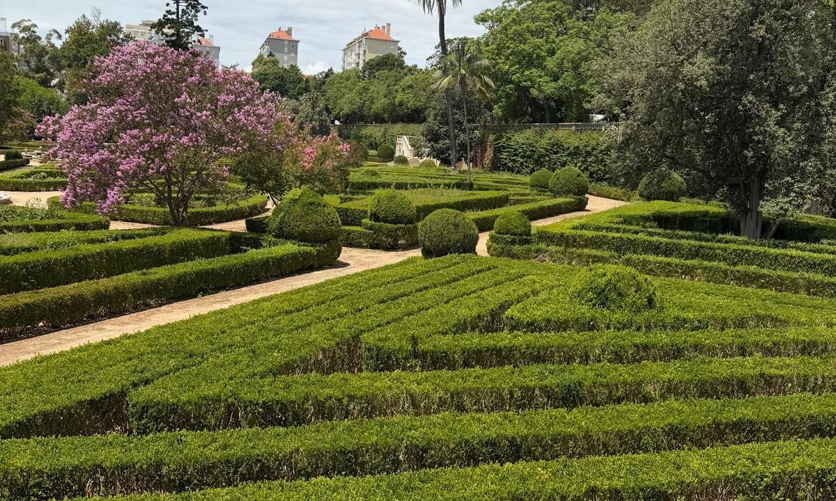 Photo of Outdoor in Linda-a-Velha