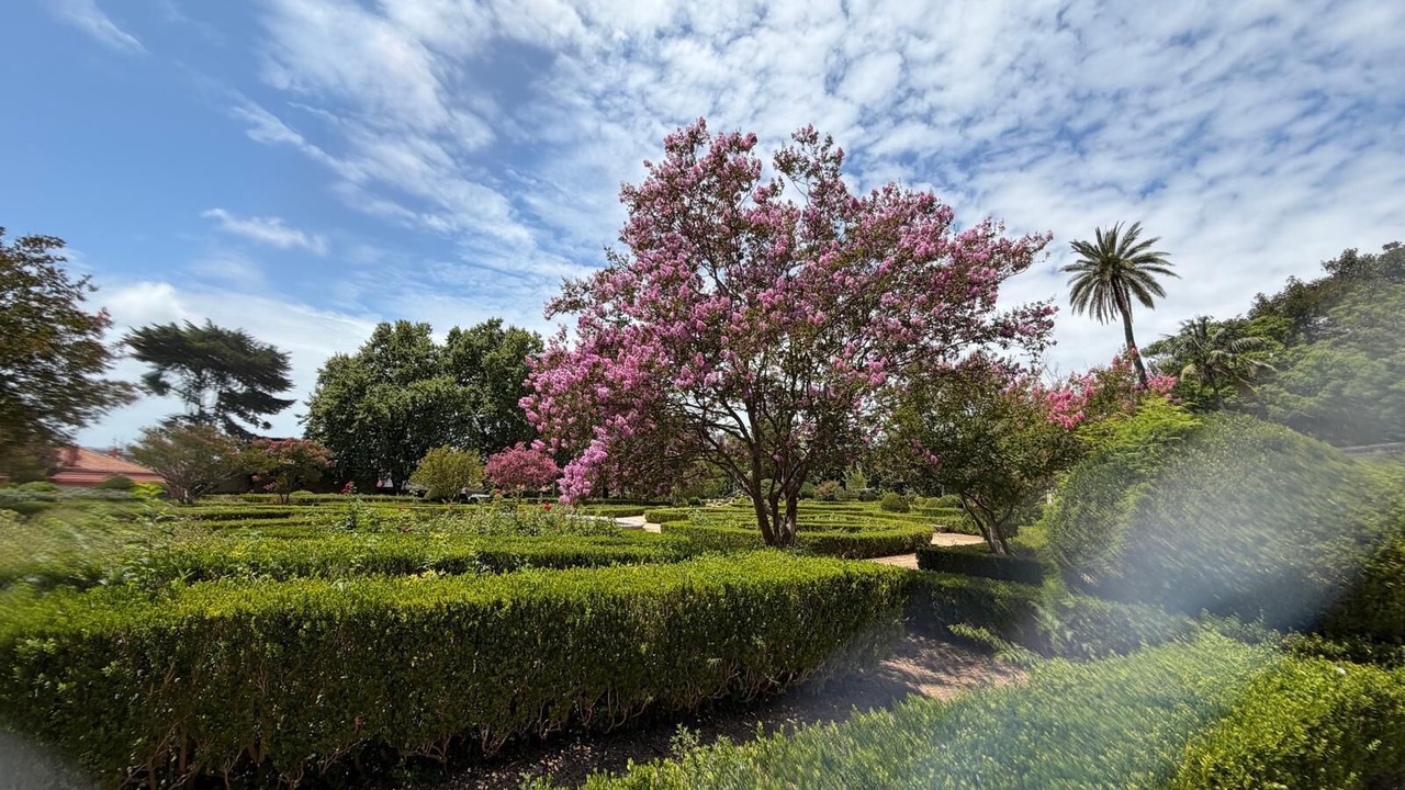 Photo of Outdoor in Linda-a-Velha