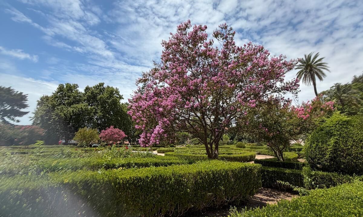 Photo of Outdoor in Linda-a-Velha
