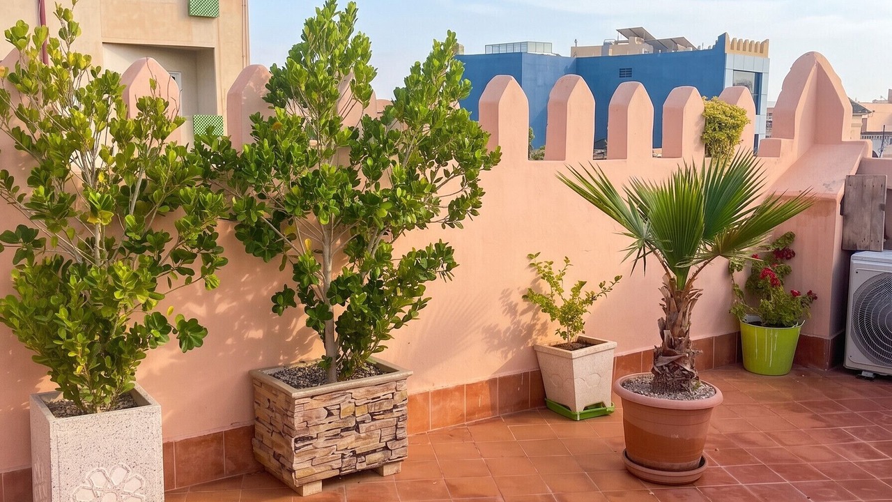 Photo of Others in Oujda