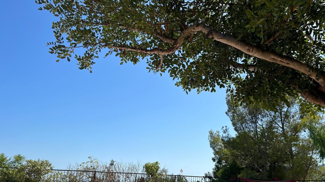 Photo of Outdoor in Finestrat