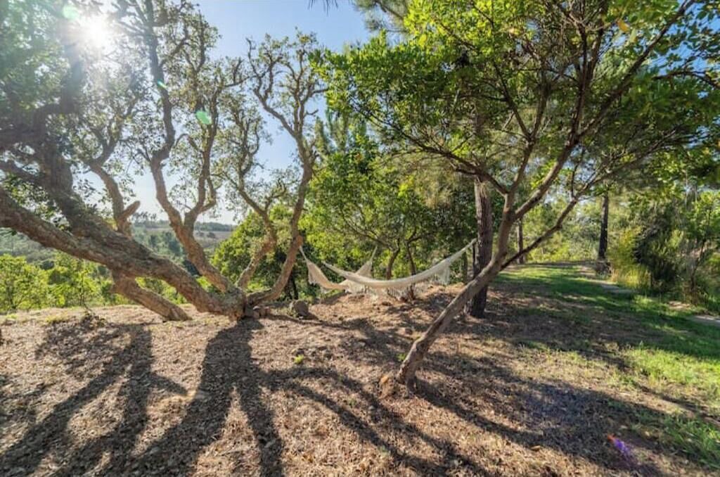 Photo of Others in Monte da Vinha