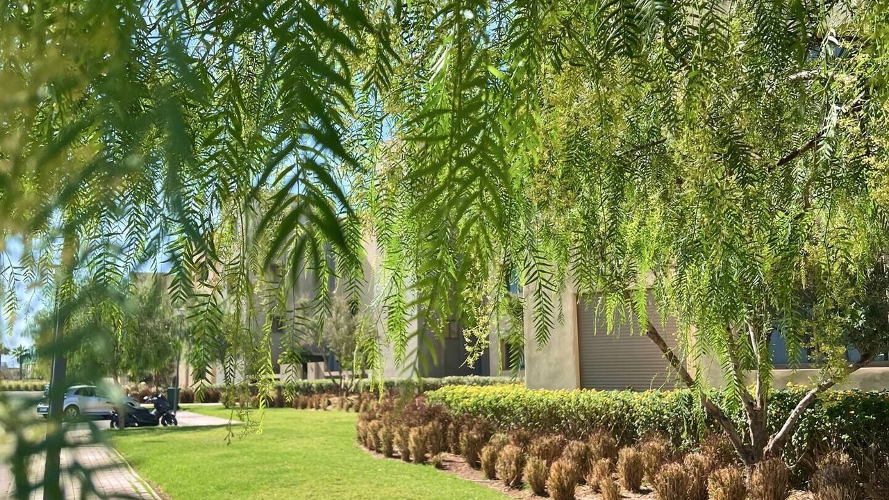 Photo of Outdoor in Temara