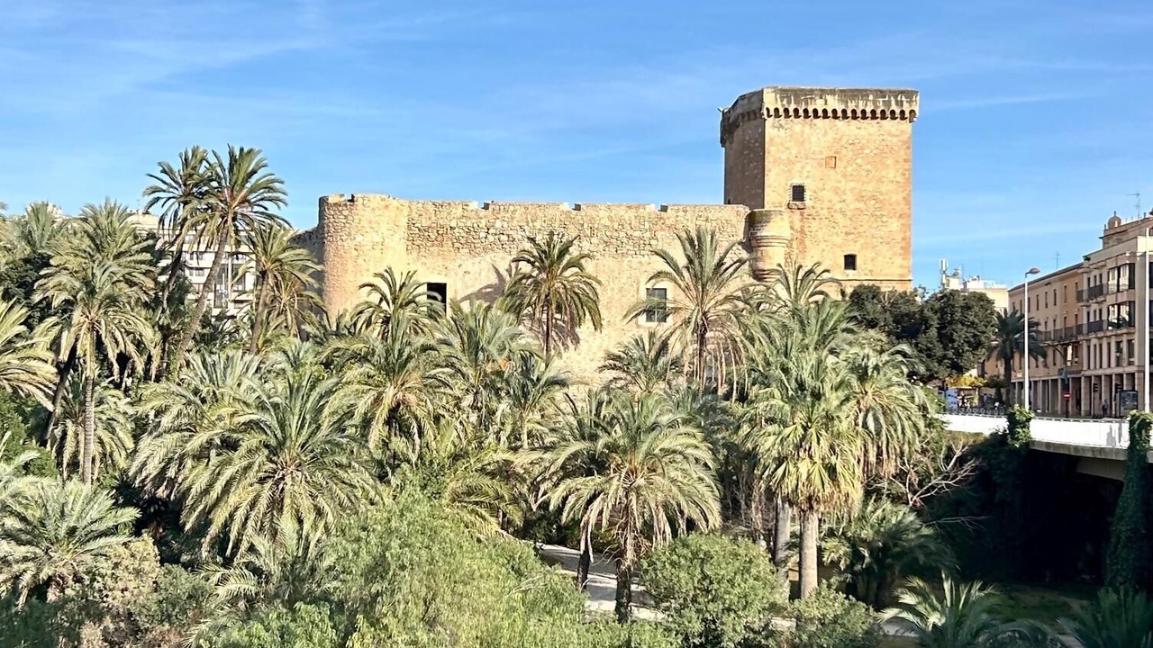 Photo of Others in Elche