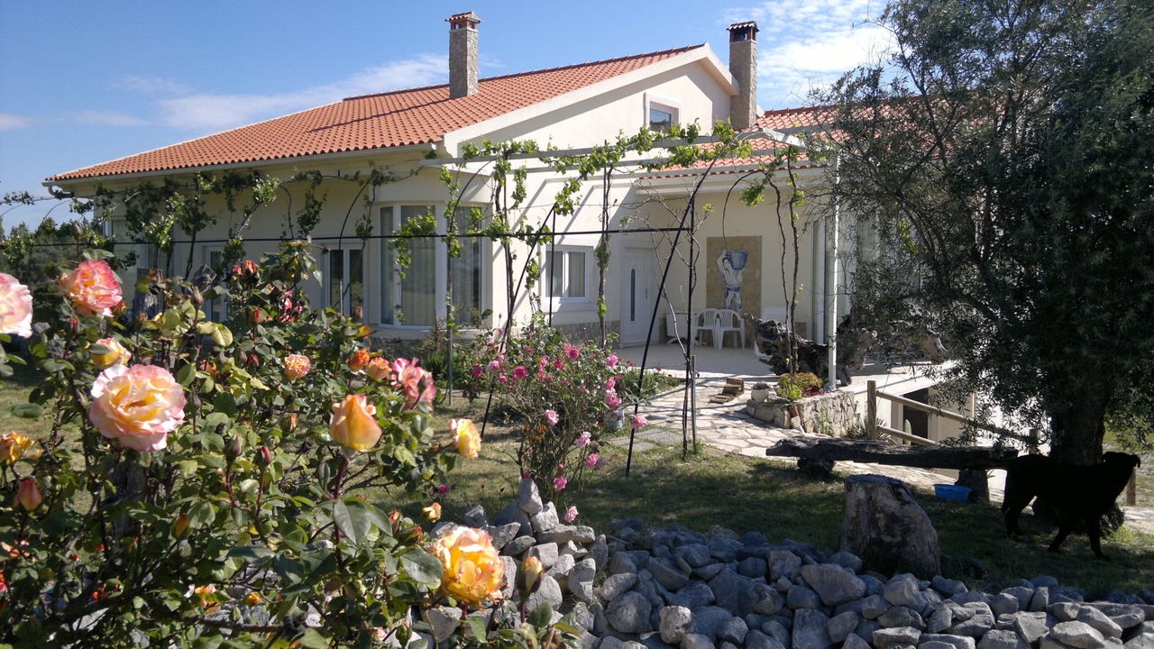 Photo of Outdoor in Pedrogao