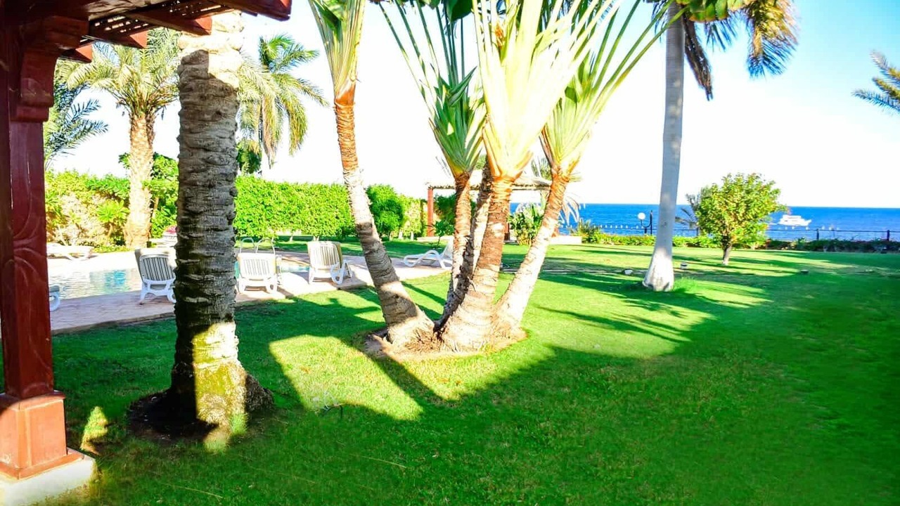 Photo of Outdoor in Sharm El Sheikh