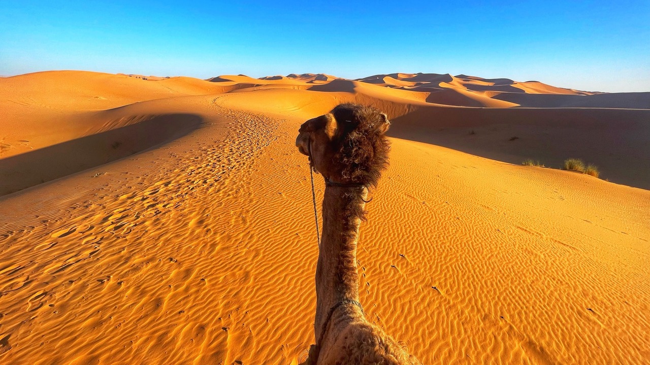 Photo of Others in Taouz