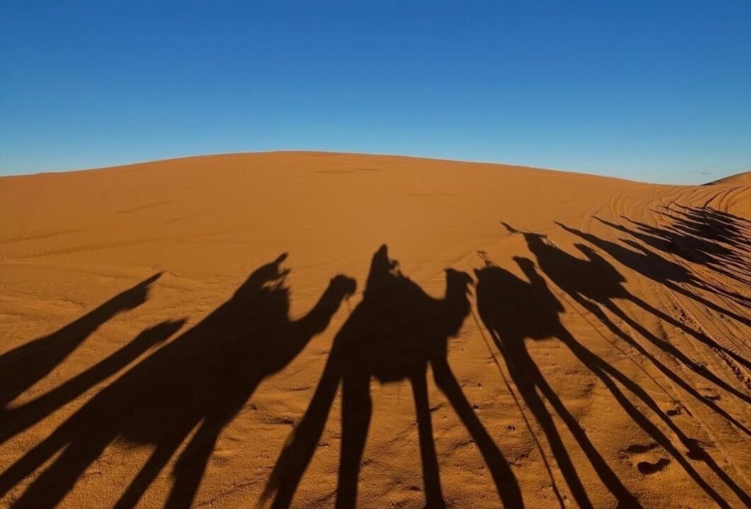 Photo of Others in Taouz
