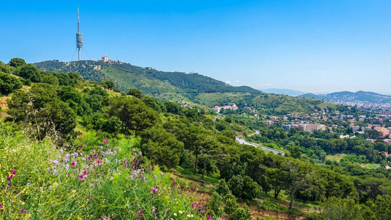 Photo of Others in Sarria-Sant Gervasi
