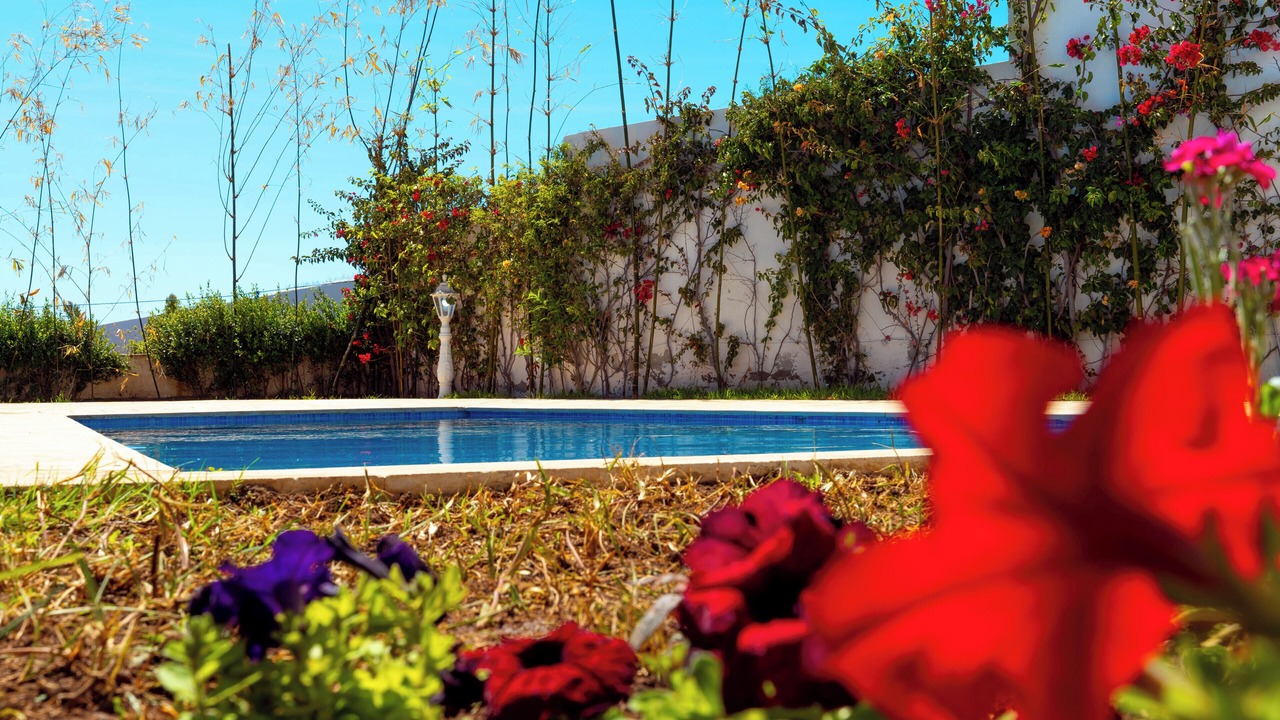 Photo of Outdoor in Mediouna