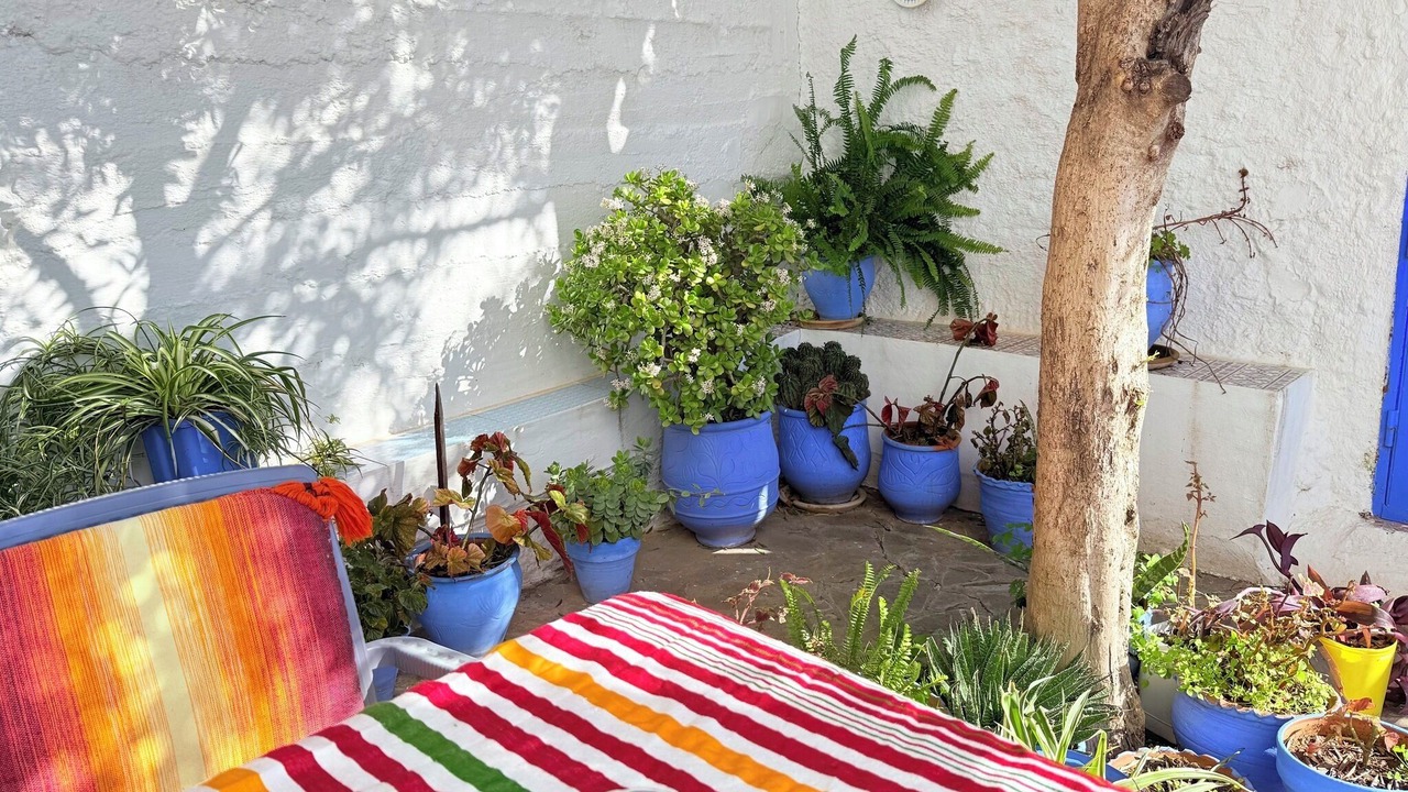 Photo of Outdoor in Chefchaouen