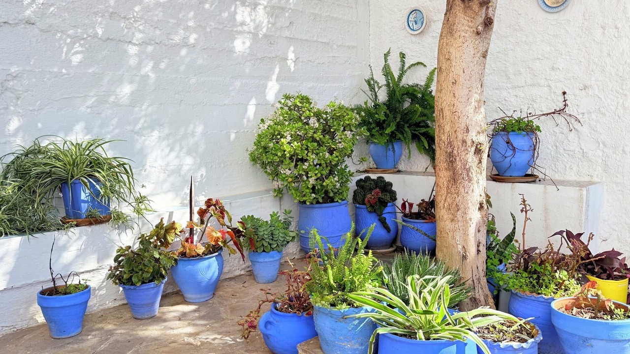 Photo of Outdoor in Chefchaouen