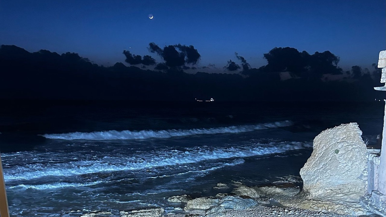Photo of Others in Batroun