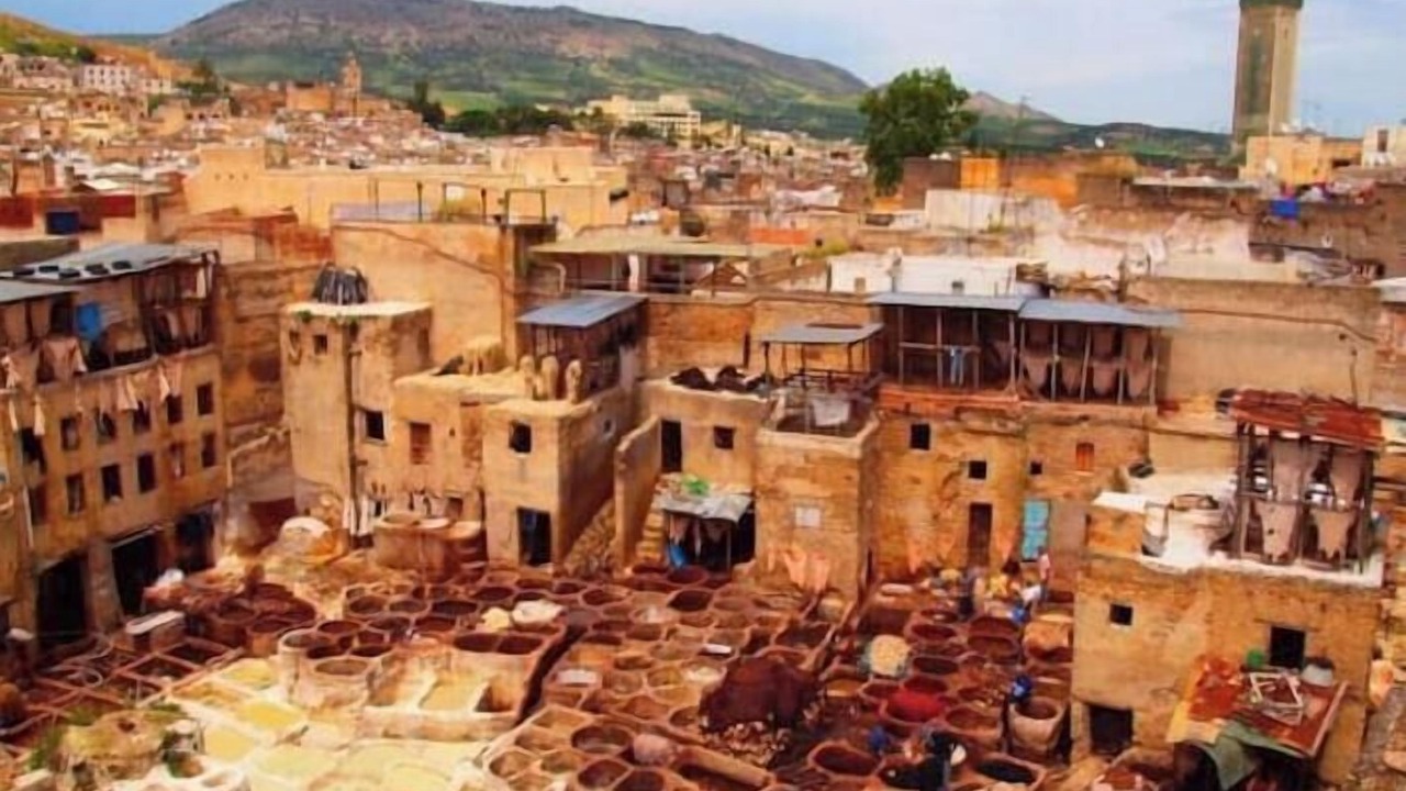 Photo of Others in Talaa