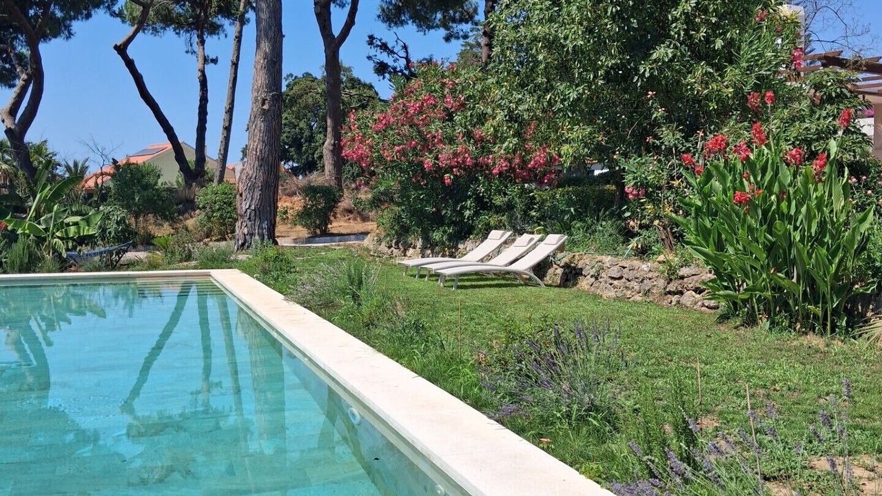 Photo of Outdoor in Sao Lourenco