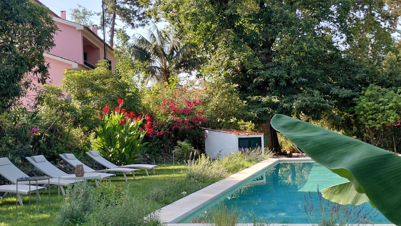 Photo of Outdoor in Sao Lourenco