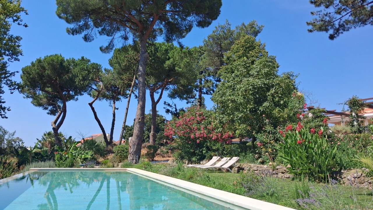 Photo of Outdoor in Sao Lourenco