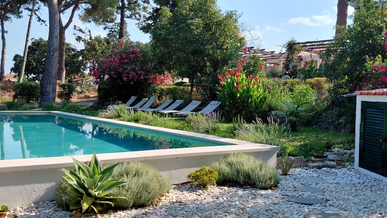 Photo of Outdoor in Sao Lourenco