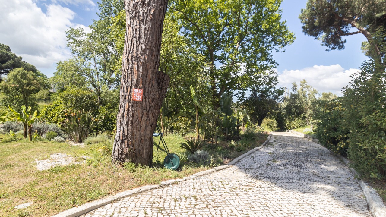 Photo of Outdoor in Sao Lourenco