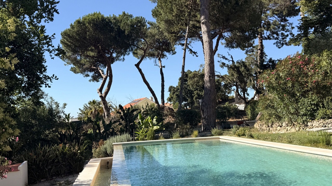 Photo of Outdoor in Sao Lourenco