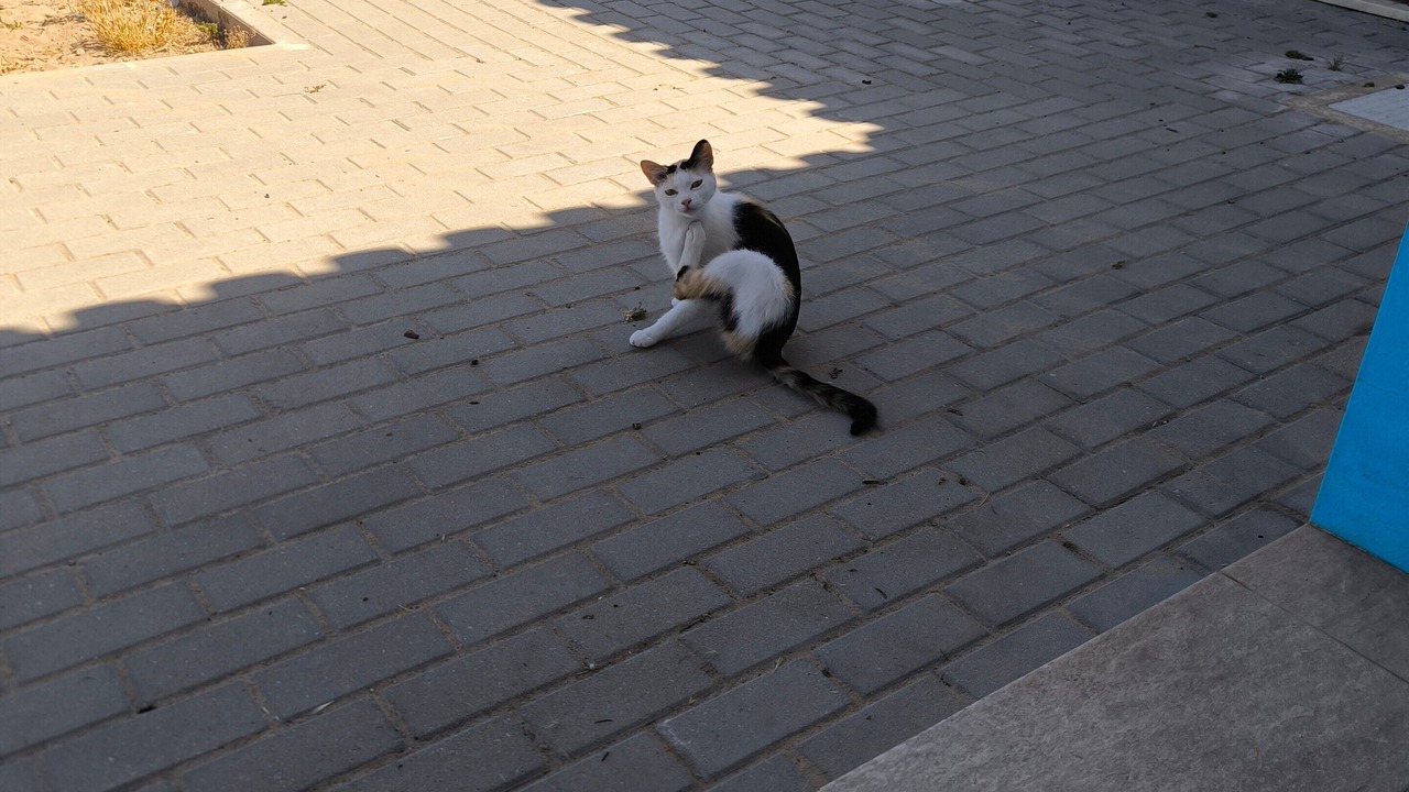 Photo of Outdoor in Odemira