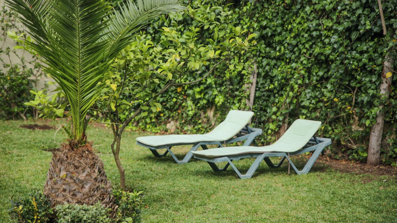 Photo of Outdoor in Tangier