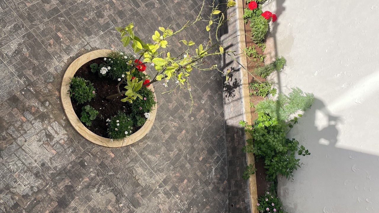 Photo of Outdoor in Casablanca