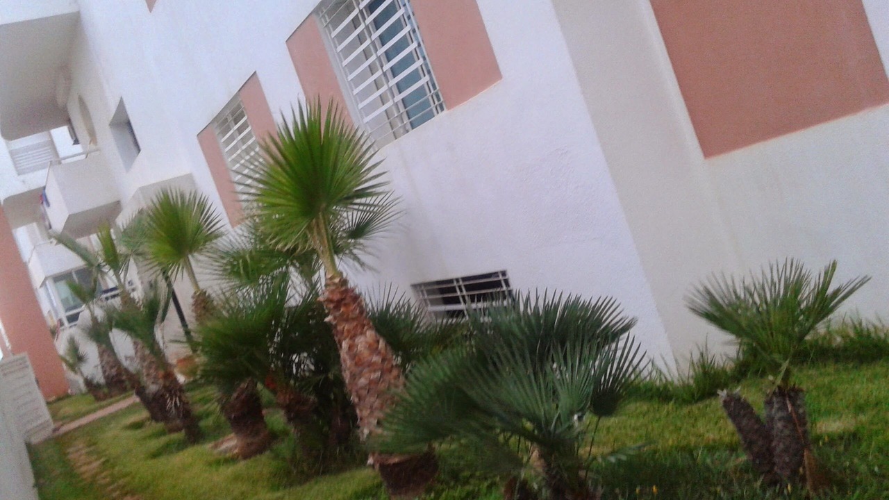 Photo of Outdoor in Mohammedia