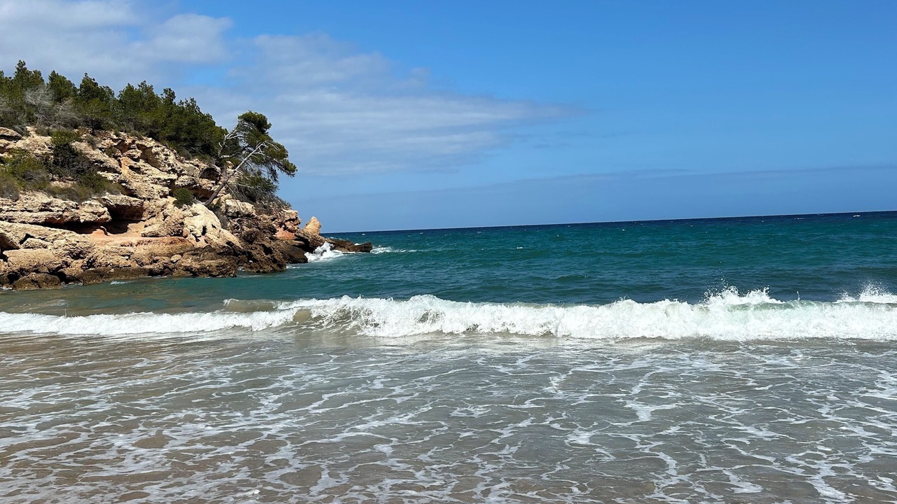 Photo of Others in Les Tres Cales
