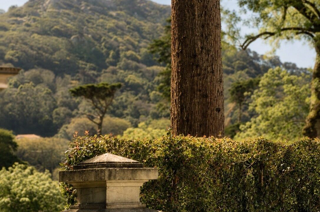 Photo of Outdoor in Sintra