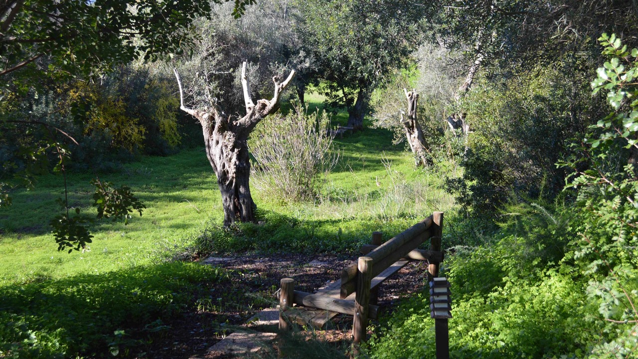Photo of Outdoor in Silves