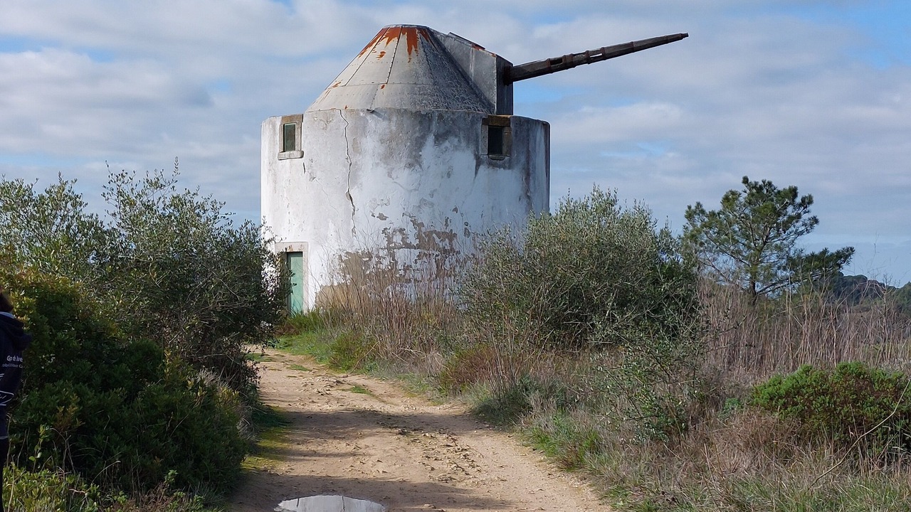Photo of Others in Setubal