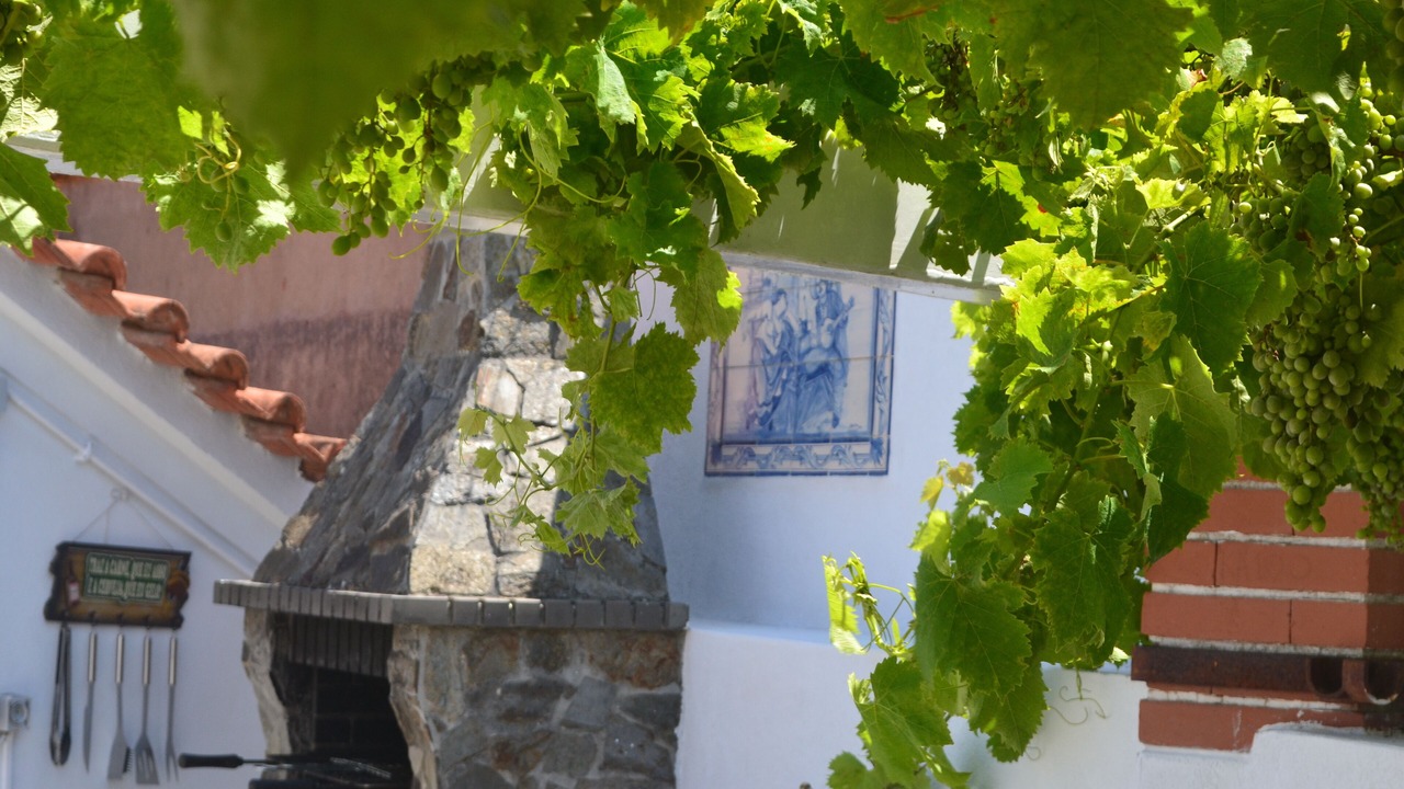 Photo of Outdoor in Melecas