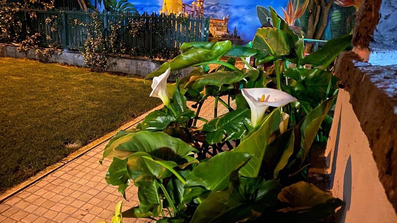 Photo of Outdoor in Melecas