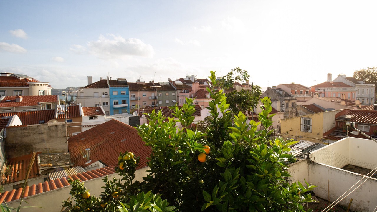 Photo of Others in Linda-a-Velha