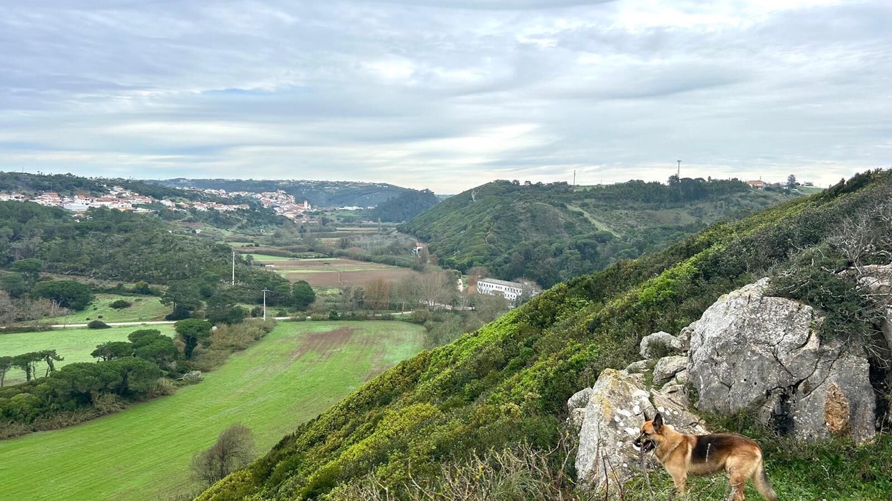 Photo of Others in Maceira