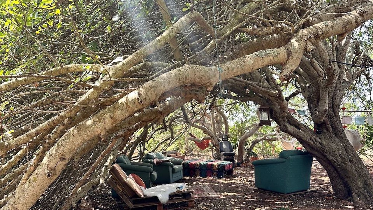 Photo of Outdoor in Lagos