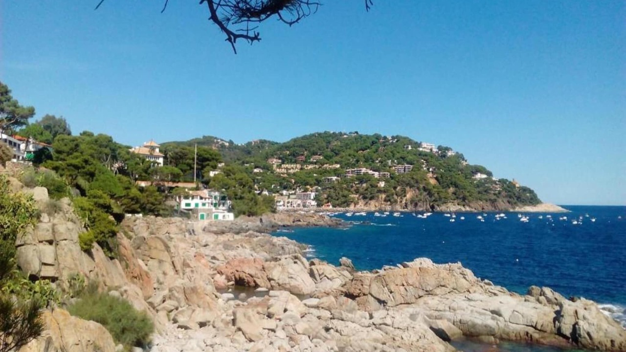 Photo of Others in Palafrugell
