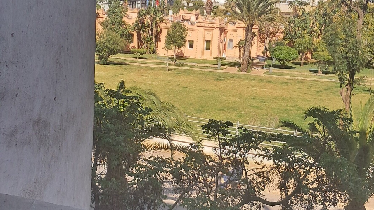Photo of Others in Casablanca