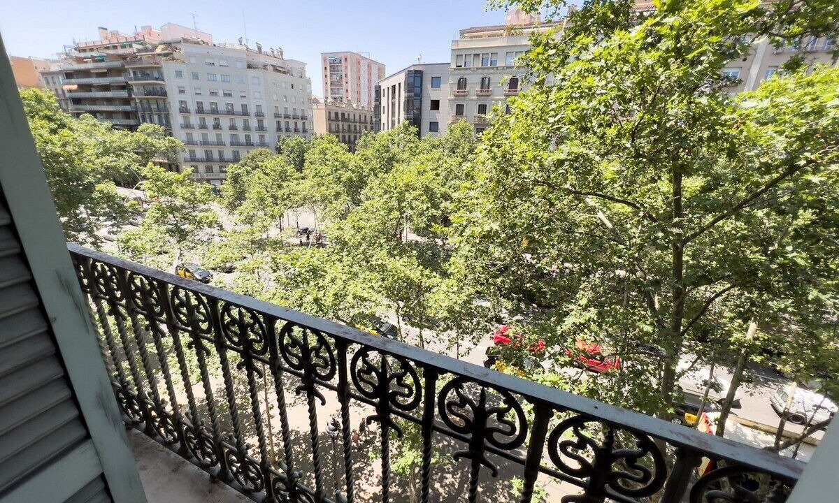 Photo of Outdoor in el Fort Pienc