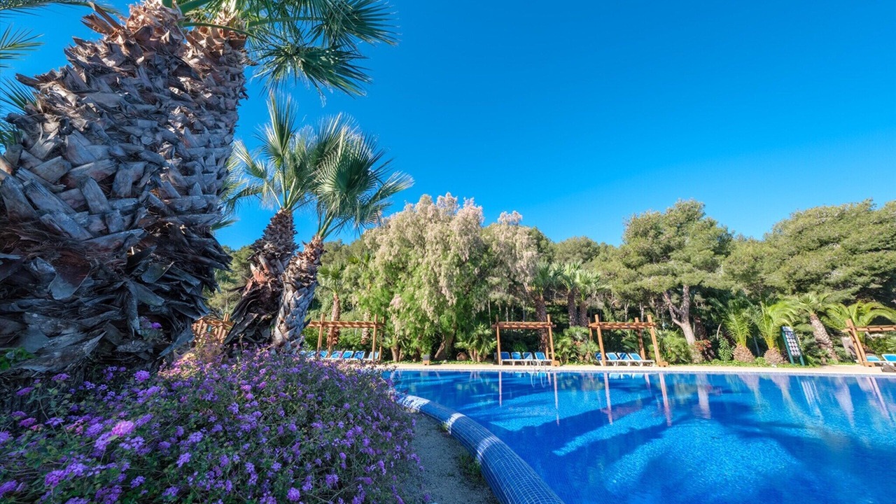 Photo of Outdoor in Tamarit