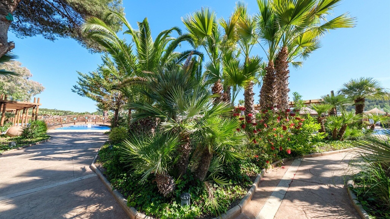 Photo of Outdoor in Tamarit