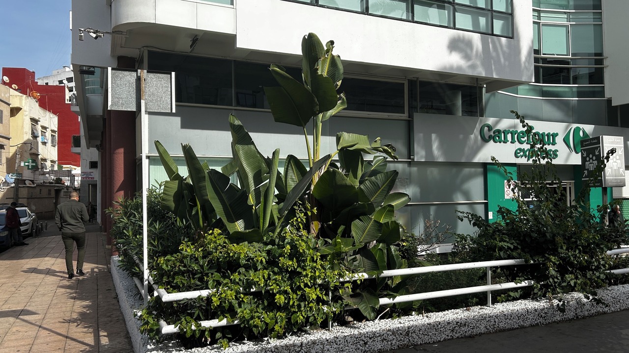 Photo of Outdoor in Casablanca City Center