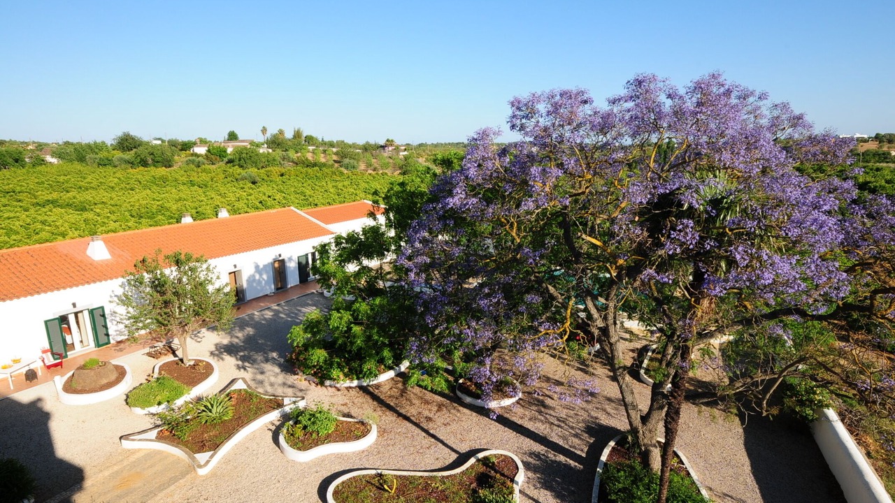 Photo of Outdoor in Tavira