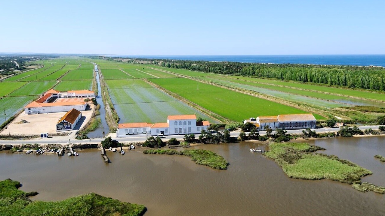 Photo of Others in Santa Maria do Castelo