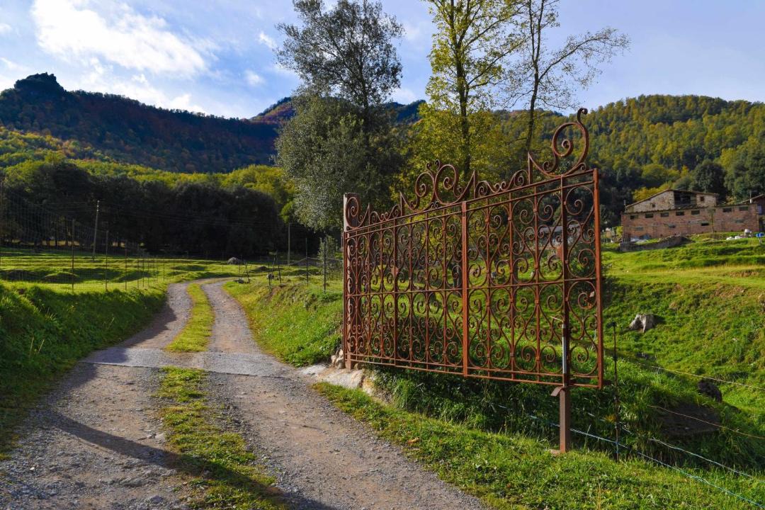 Photo of Others in La Vall d'en Bas