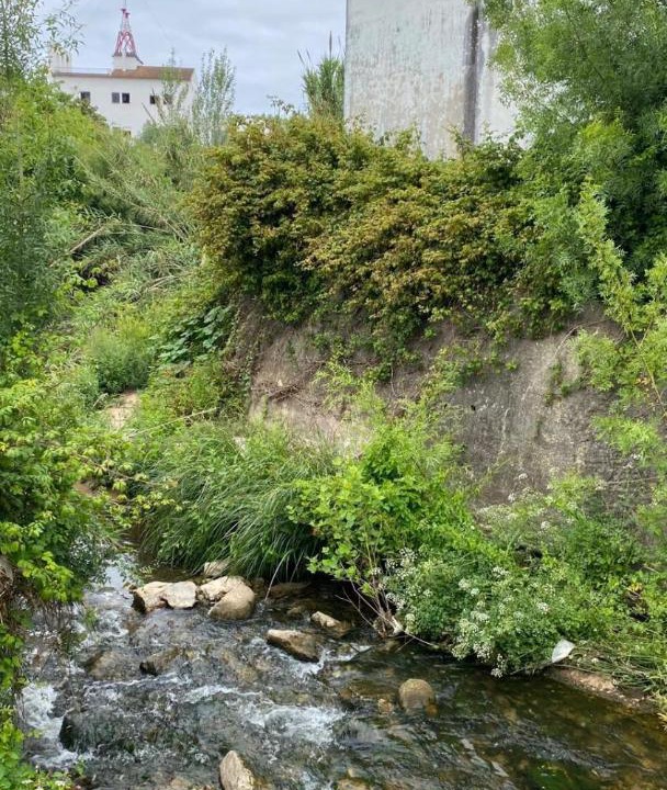 Photo of Others in Eugaria