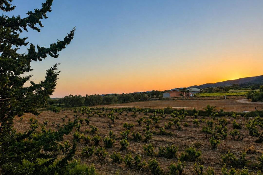 Photo of Others in Castellvi de la Marca