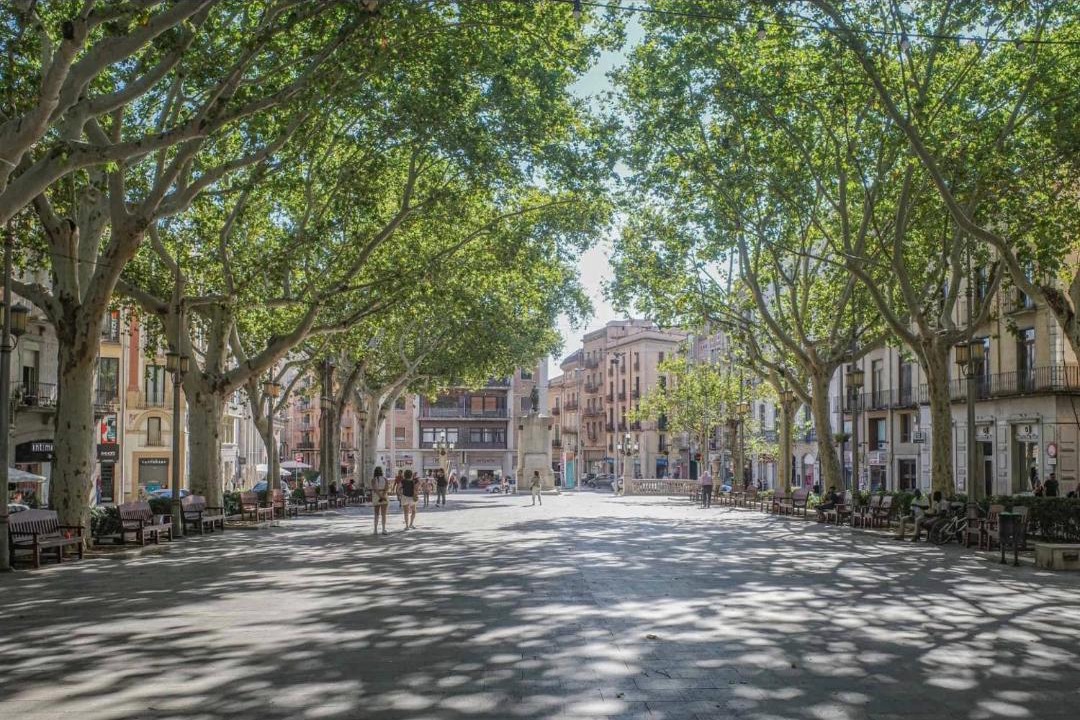 Photo of Others in Figueres