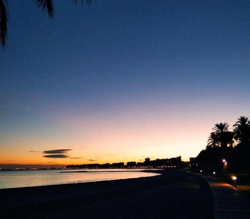 Photo of Others in Benicassim